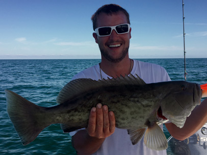 Angling Adventures Gag Grouper